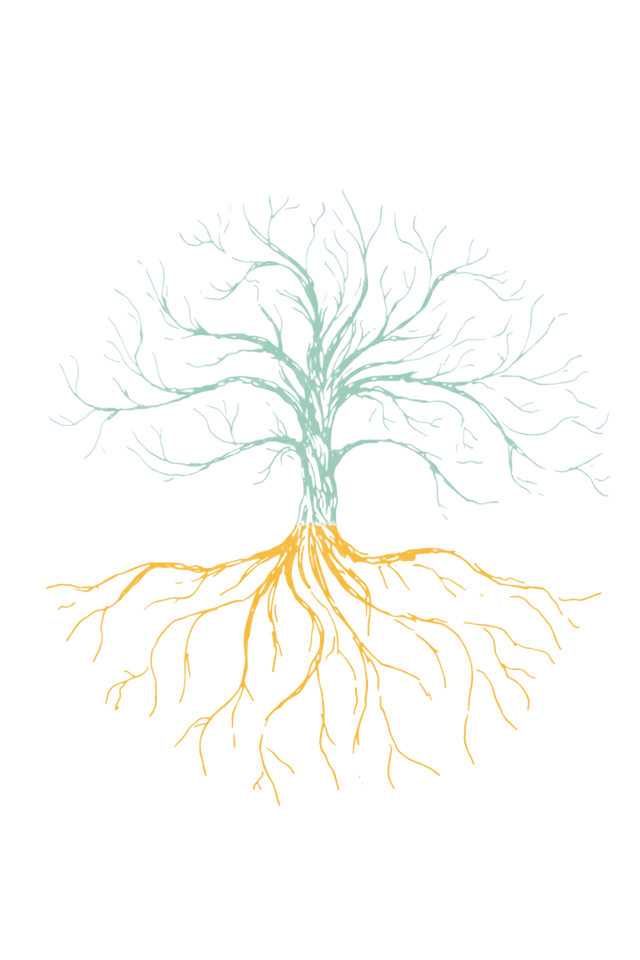 Anchored Tree